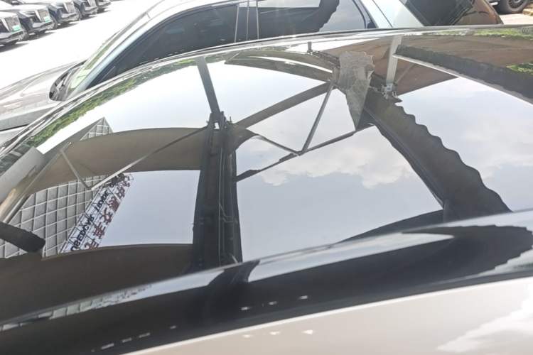Used Ford Mustang Mach-E 2021 AION Y Plus Rear-Drive Luxury Edition (Long Range) Roof