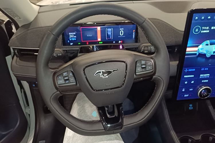 Used Ford Mustang Mach-E 2021 AION Y Plus Rear-Drive Luxury Edition (Long Range) Steering Wheel