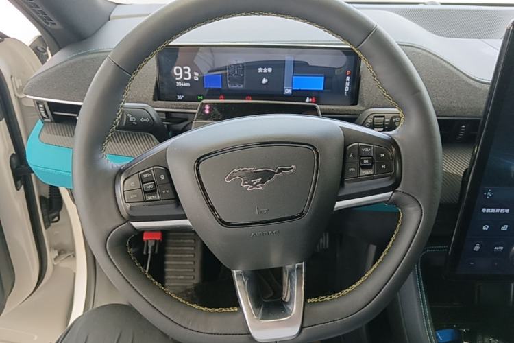 Used Ford Mustang Mach-E 2021 AION Y Plus Rear-Drive Luxury Edition (Long Range) Steering Wheel
