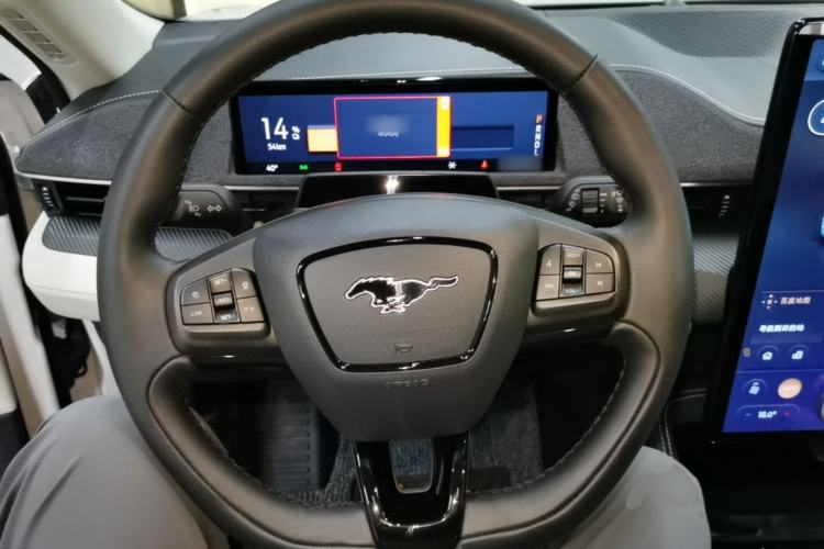 Used Ford Mustang Mach-E 2021 AION Y Plus Rear-Drive Luxury Edition (Long Range) Steering Wheel