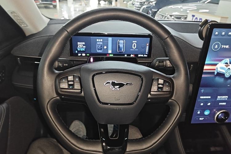 Used Ford Mustang Mach-E 2021 AION Y Plus Rear-Drive Luxury Edition (Long Range) Steering Wheel