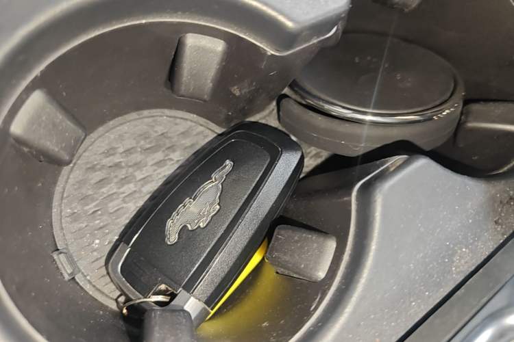 Used Ford Mustang Mach-E 2021 AION Y Plus Rear-Drive Luxury Edition (Long Range) Vehicle Key