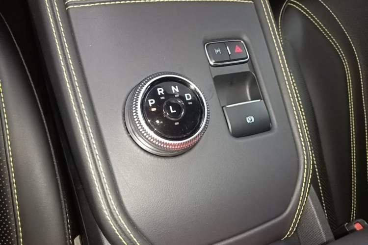 Used Ford Mustang Mach-E 2024 Windstorm Version (Long-Range) Gear Lever