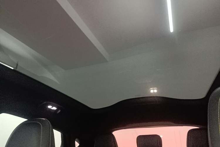 Used Ford Mustang Mach-E 2024 Windstorm Version (Long-Range) Headliner