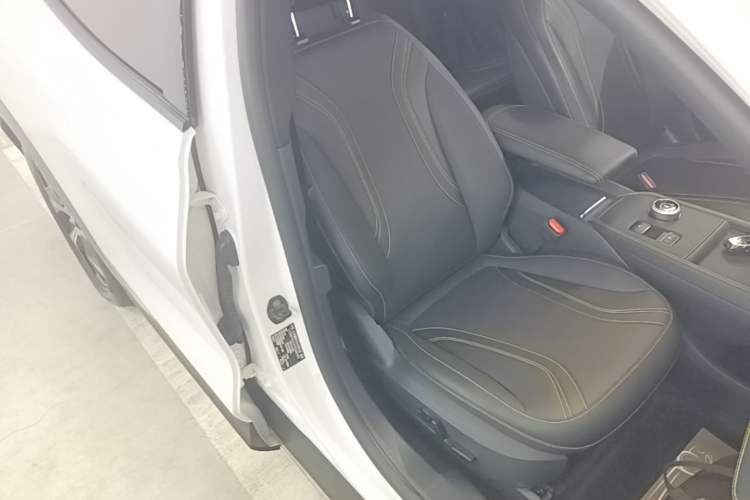 Used Ford Mustang Mach-E 2024 Windstorm Version (Long-Range) Right Front Seat