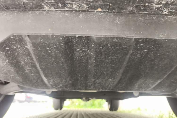 Used Ford Ranger 2023 Shanlin Two-Wheel Drive Manual Gasoline Model Chassis Front
