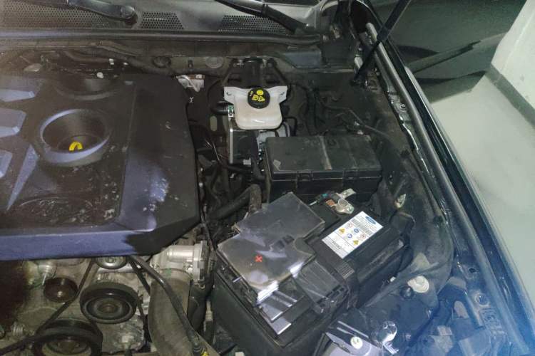 Used Ford Ranger 2023 Trailblazer 4x4 Automatic Version – Gasoline Engine Bay Left