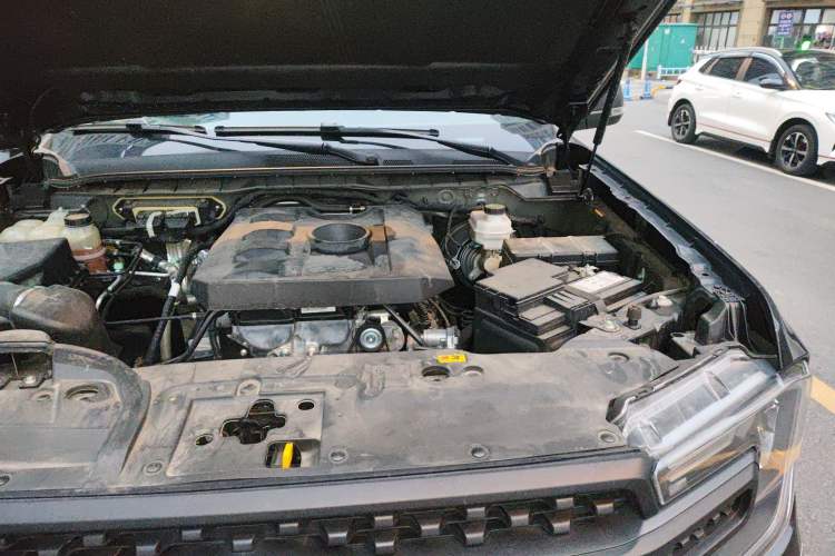 Used Ford Ranger 2023 Shanlin 4x4 Automatic Version Gasoline Engine Bay Left