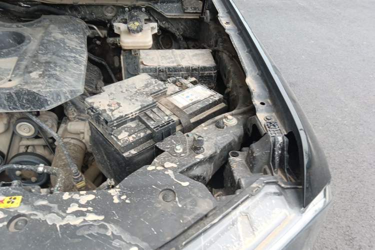 Used Ford Ranger 2023 Trailblazer 4x4 Automatic Version – Gasoline Engine Bay Left