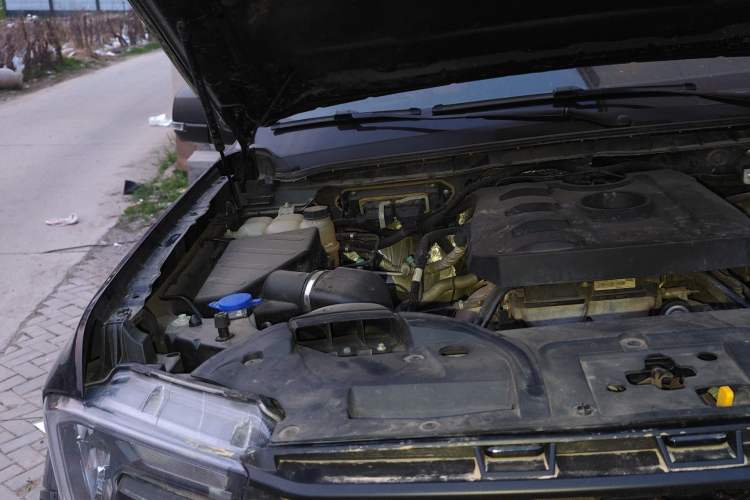 Used Ford Ranger 2023 Trailblazer 4x4 Automatic Version – Gasoline Engine Bay Right