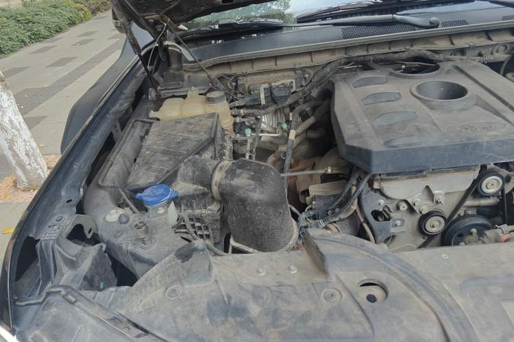 Used Ford Ranger 2023 1st Edition Gasoline Model Engine Bay Right