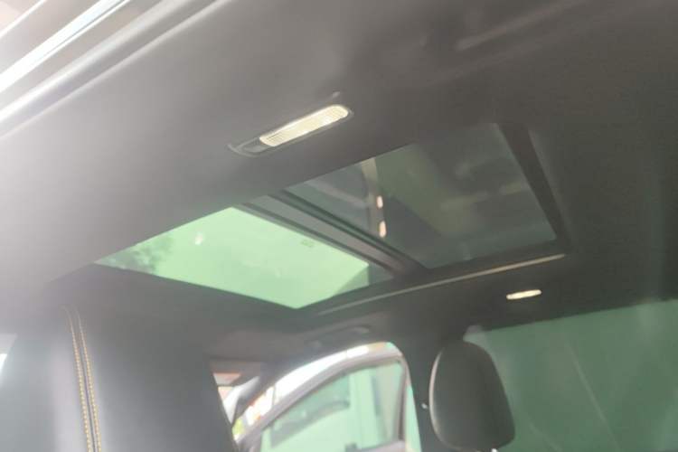 Used Ford Ranger 2023 Wild Terrain 4x4 Automatic Version Gasoline Headliner