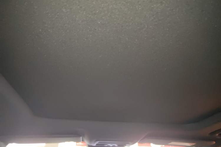 Used Ford Ranger 2023 Wild Terrain 4x4 Automatic Version Gasoline Headliner