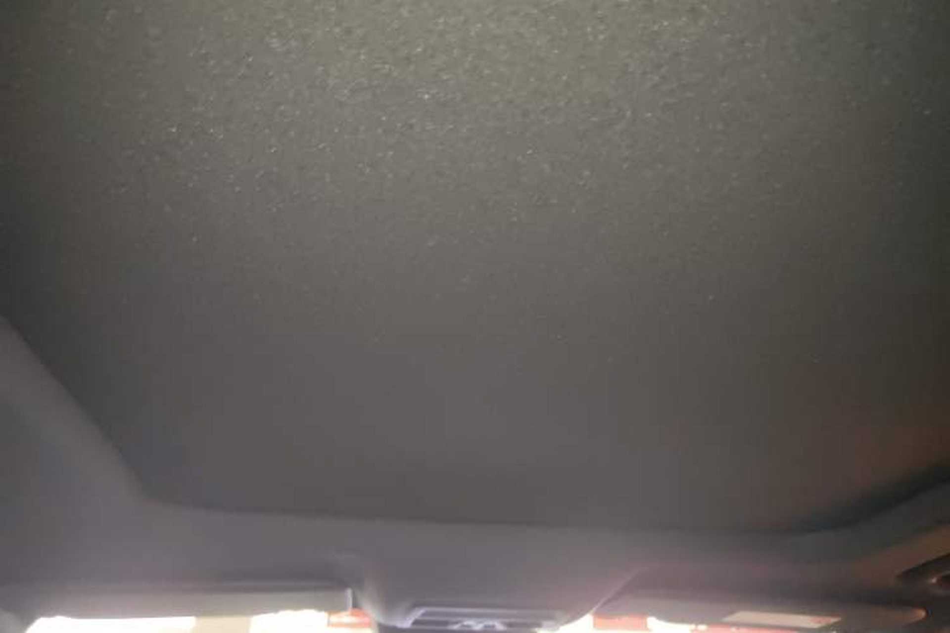 Used Ford Ranger 2023 Wild Terrain 4x4 Automatic Version Gasoline Headliner