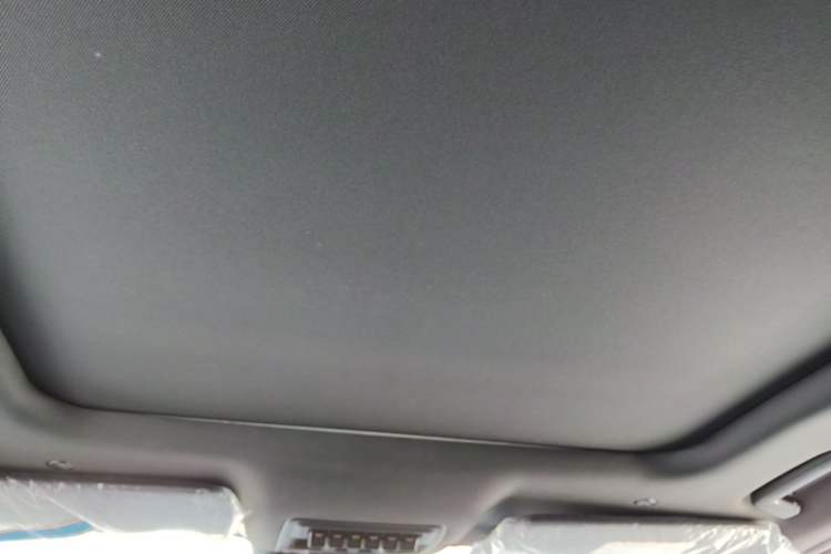 Used Ford Ranger 2023 1st Edition Gasoline Model Headliner
