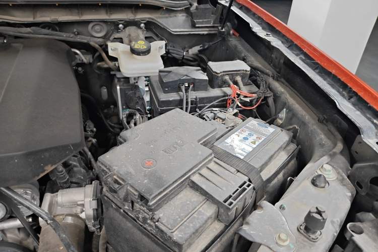 Used Ford Ranger 2023 Trailblazer 4x4 Automatic Version – Gasoline Engine Bay Left