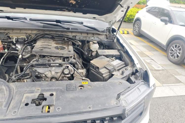Used Ford Ranger 2023 Shanlin 4x4 Automatic Version Gasoline Engine Bay Left