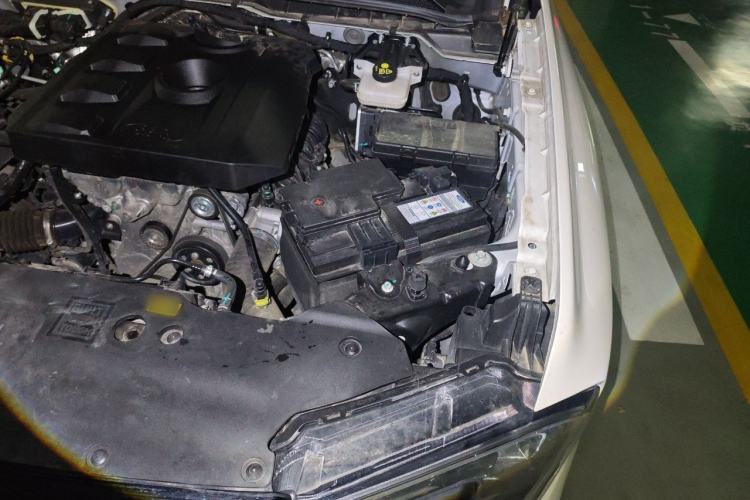 Used Ford Ranger 2023 Trailblazer 4x4 Automatic Version – Gasoline Engine Bay Left