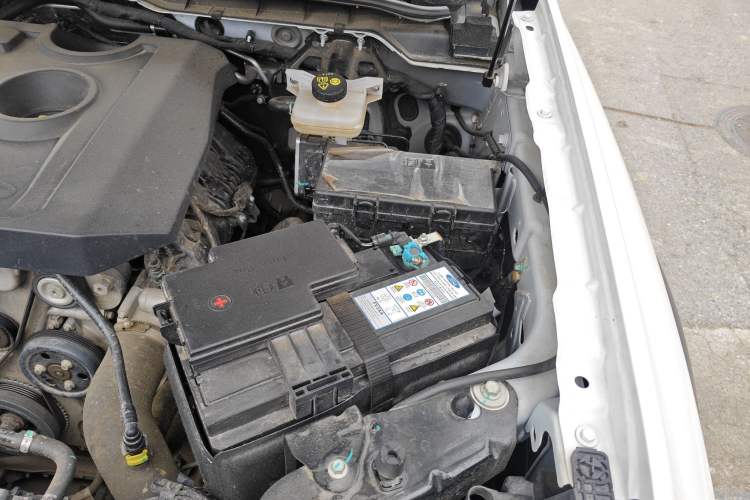 Used Ford Ranger 2023 Trailblazer 4x4 Automatic Version – Gasoline Engine Bay Left