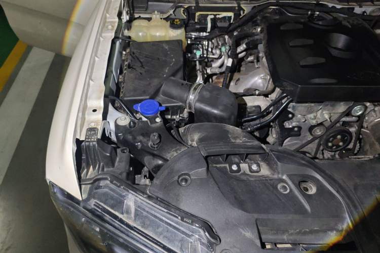 Used Ford Ranger 2023 Trailblazer 4x4 Automatic Version – Gasoline Engine Bay Right