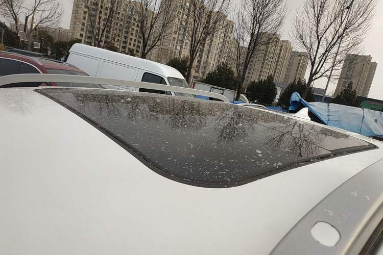 Used Ford Ranger 2023 Wild Terrain 4x4 Automatic Version Gasoline Roof