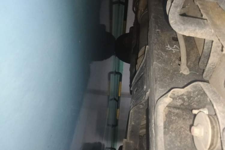 Used Ford Ranger 2023 Wild Terrain 4x4 Automatic Version Gasoline Chassis Front Right