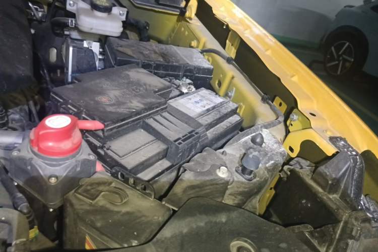 Used Ford Ranger 2023 Wild Terrain 4x4 Automatic Version Gasoline Engine Bay Left