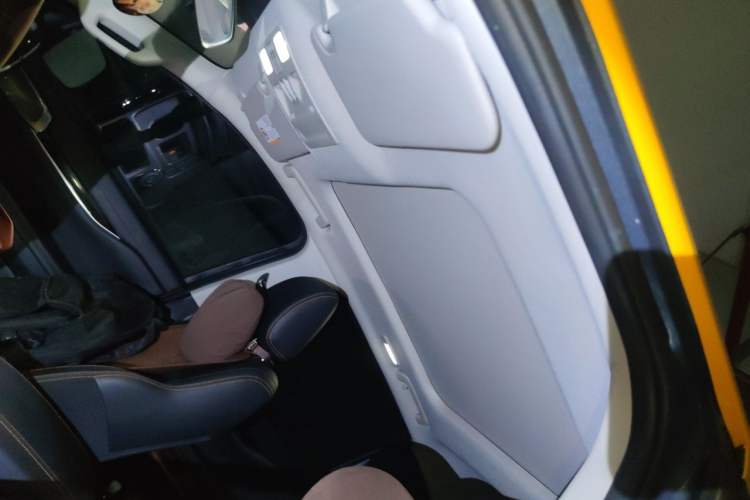 Used Ford Ranger 2023 Trailblazer 4x4 Automatic Version – Gasoline Headliner