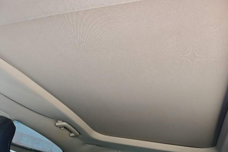 Used Ford Taurus 2015 EcoBoost 245 Fashion Edition Headliner