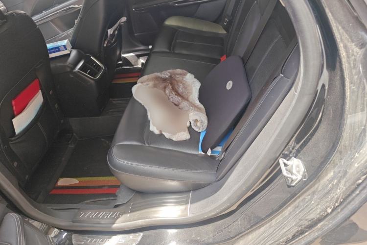 Used Ford Taurus 2015 EcoBoost 245 Fashion Edition Left Rear Seat