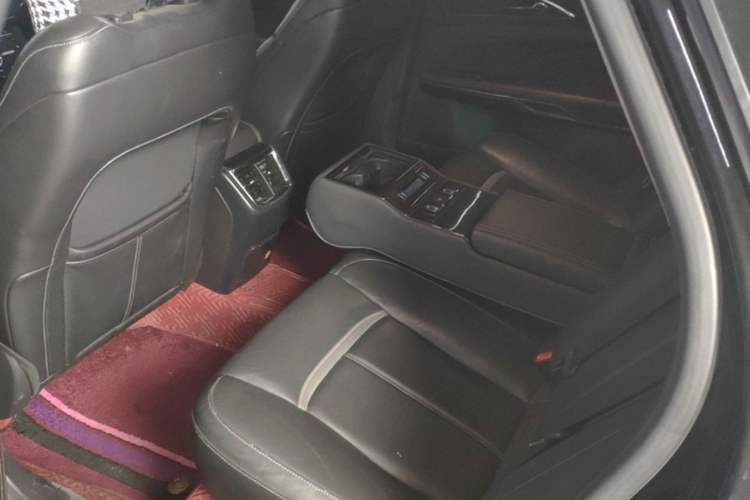 Used Ford Taurus 2015 EcoBoost 245 Luxury Model Left Rear Seat