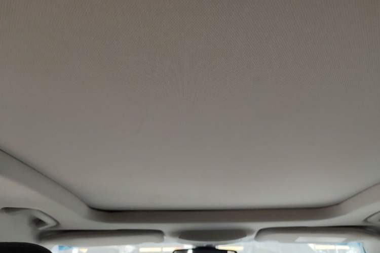 Used Ford Taurus 2015 EcoBoost 245 Fashion Edition Headliner