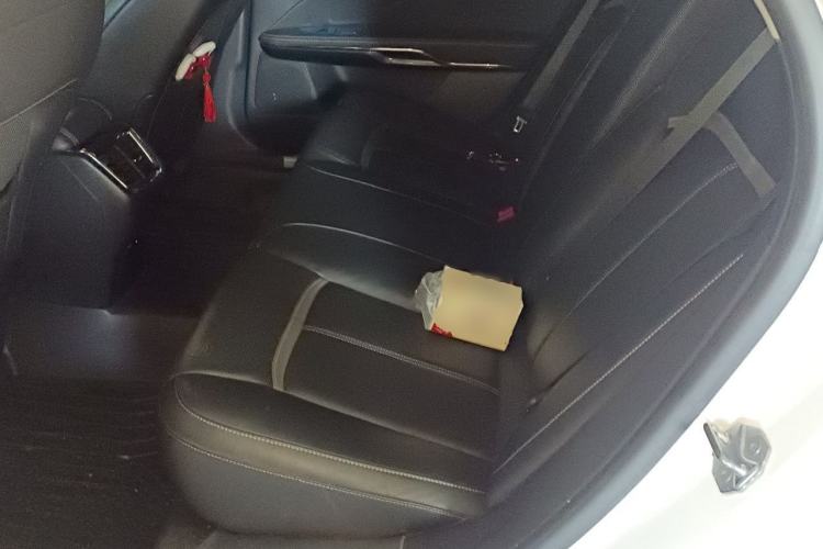 Used Ford Taurus 2015 EcoBoost 245 Luxury Model Left Rear Seat