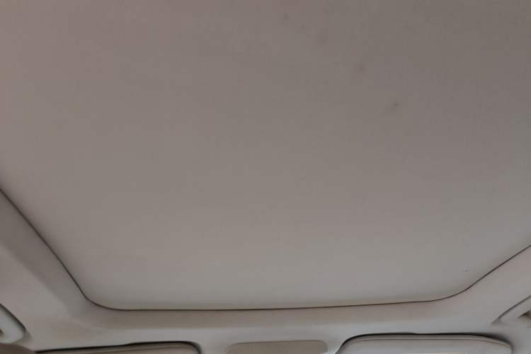 Used Ford Taurus 2015 EcoBoost 245 Ultimate Model Headliner