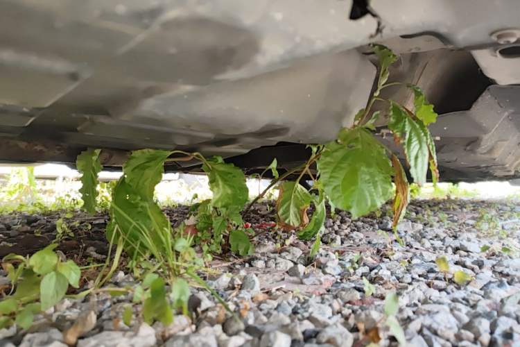 Used Ford Taurus 2015 EcoBoost 245 Luxury Model Chassis Rear Right