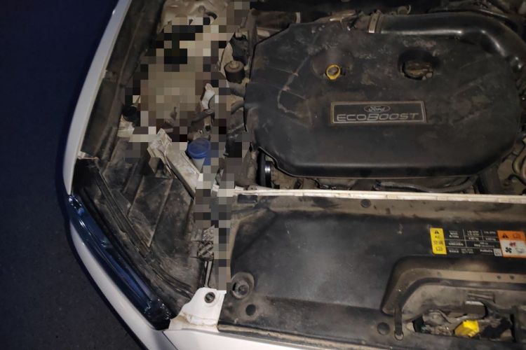 Used Ford Taurus 2015 EcoBoost 245 Luxury Model Engine Bay Right