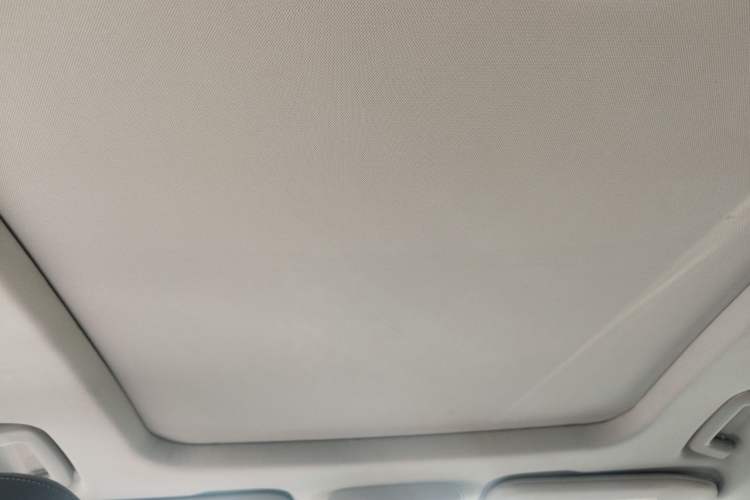 Used Ford Taurus 2015 EcoBoost 245 Luxury Model Headliner