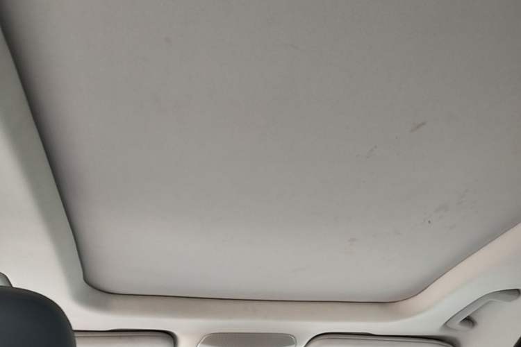 Used Ford Taurus 2015 EcoBoost 245 Luxury Model Headliner