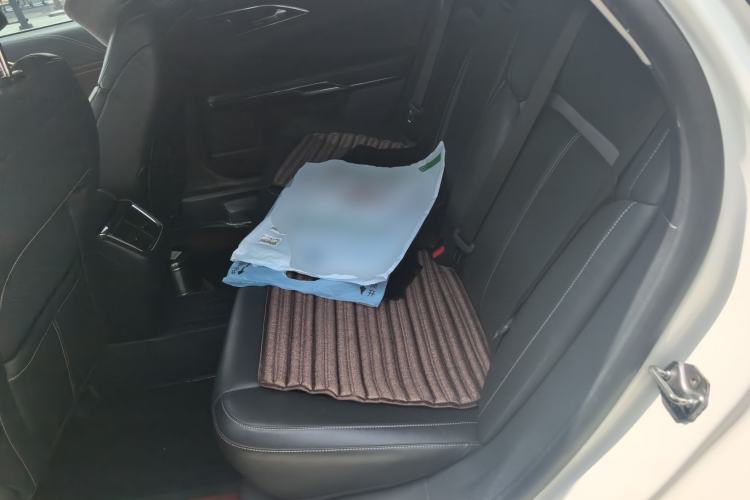 Used Ford Taurus 2015 EcoBoost 245 Luxury Model Left Rear Seat