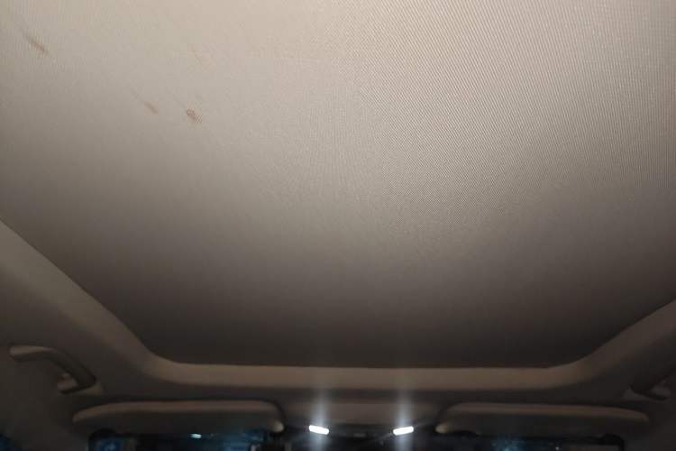 Used Ford Taurus 2016 EcoBoost 180 Luxury Model Headliner