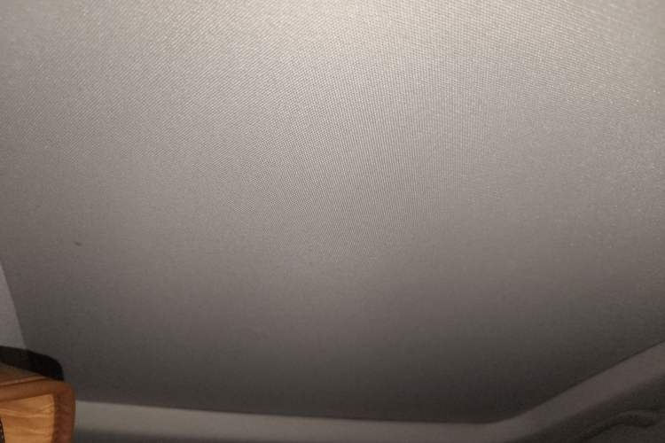 Used Ford Taurus 2016 EcoBoost 180 Luxury Model Headliner