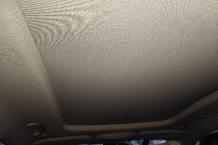 Used Ford Taurus 2017 EcoBoost 180 Ultimate Model Headliner