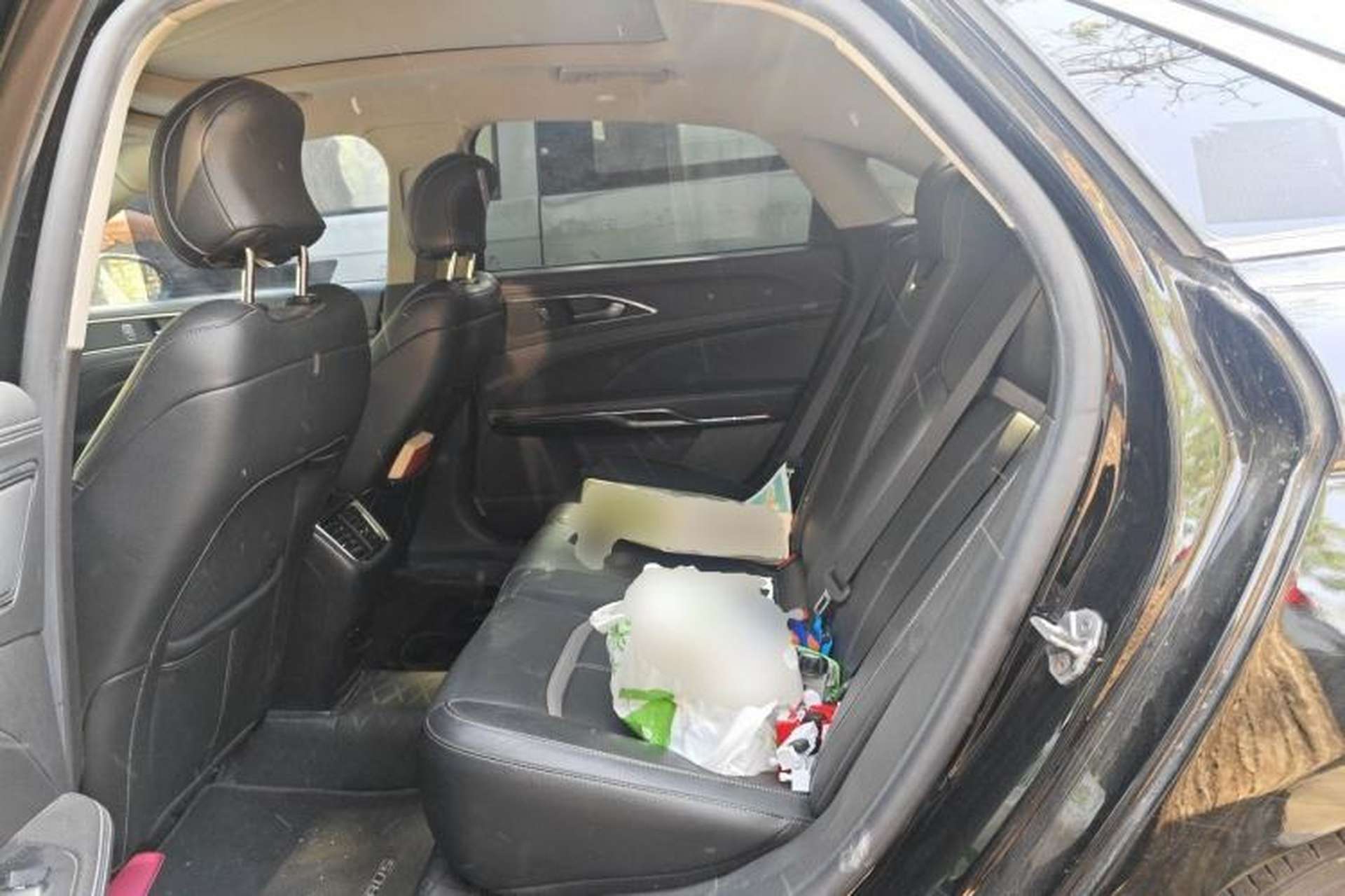 Used Ford Taurus 2017 EcoBoost 245 Luxury Model Left Rear Seat