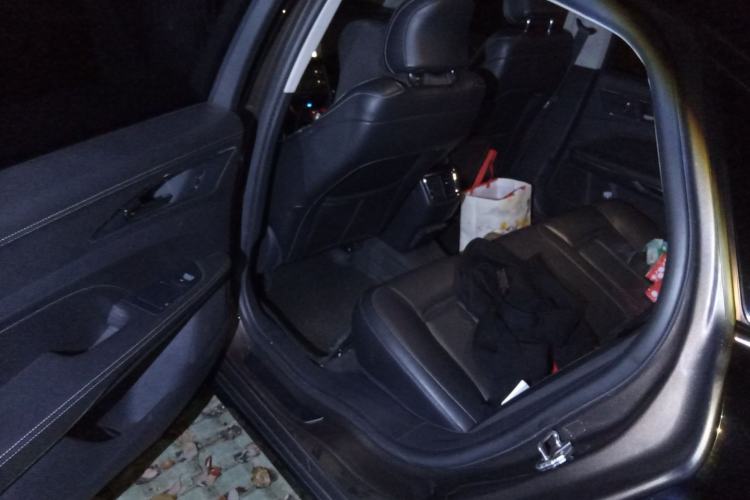 Used Ford Taurus 2017 EcoBoost 180 Luxury Model Left Rear Seat