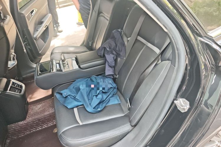 Used Ford Taurus 2017 EcoBoost 245 Luxury Model Left Rear Seat