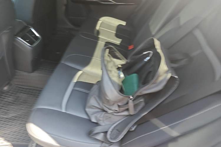 Used Ford Taurus 2017 EcoBoost 245 Luxury Model Left Rear Seat