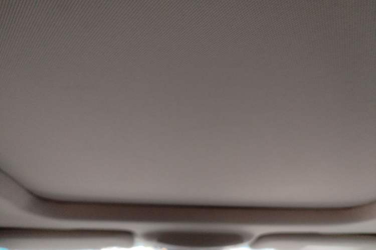 Used Ford Taurus 2017 EcoBoost 245 Luxury Model Headliner