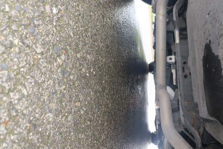 Used Ford Taurus 2017 Facelifted EcoBoost 245 Luxury Version Chassis Rear