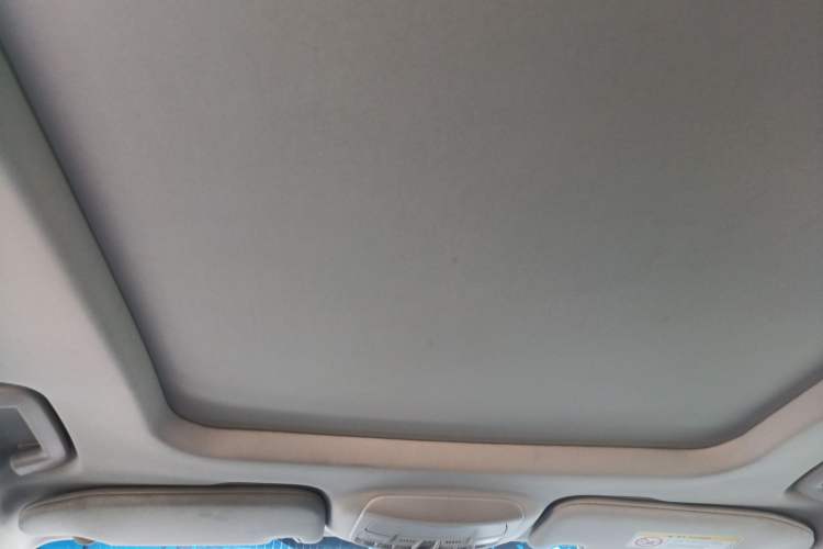 Used Ford Taurus 2017 EcoBoost 245 Luxury Model Headliner