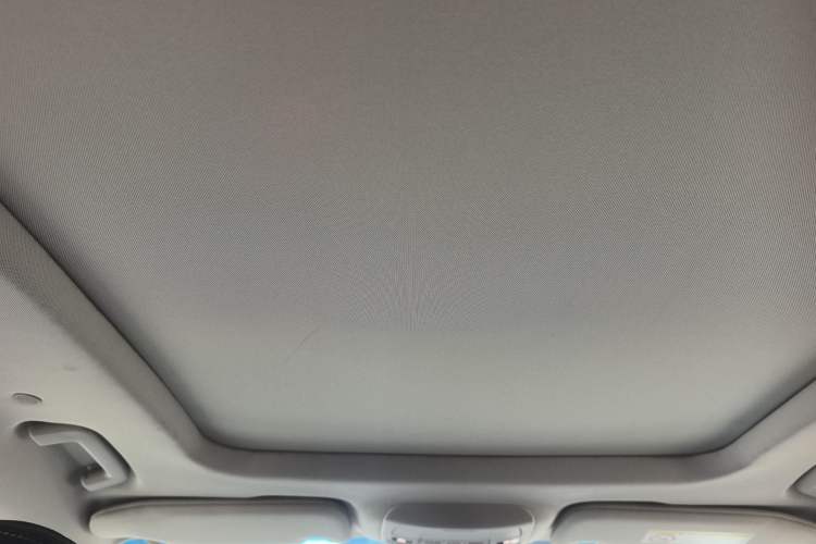 Used Ford Taurus 2017 EcoBoost 325 V6 Flagship Model Headliner